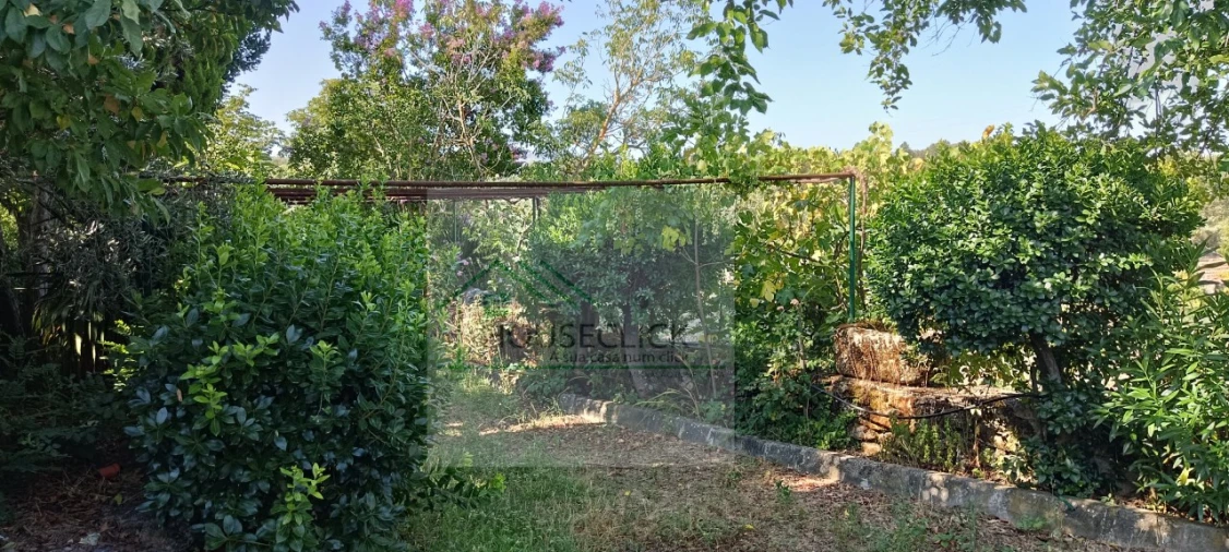 Quinta T4 para Venda em Caria Foto 69