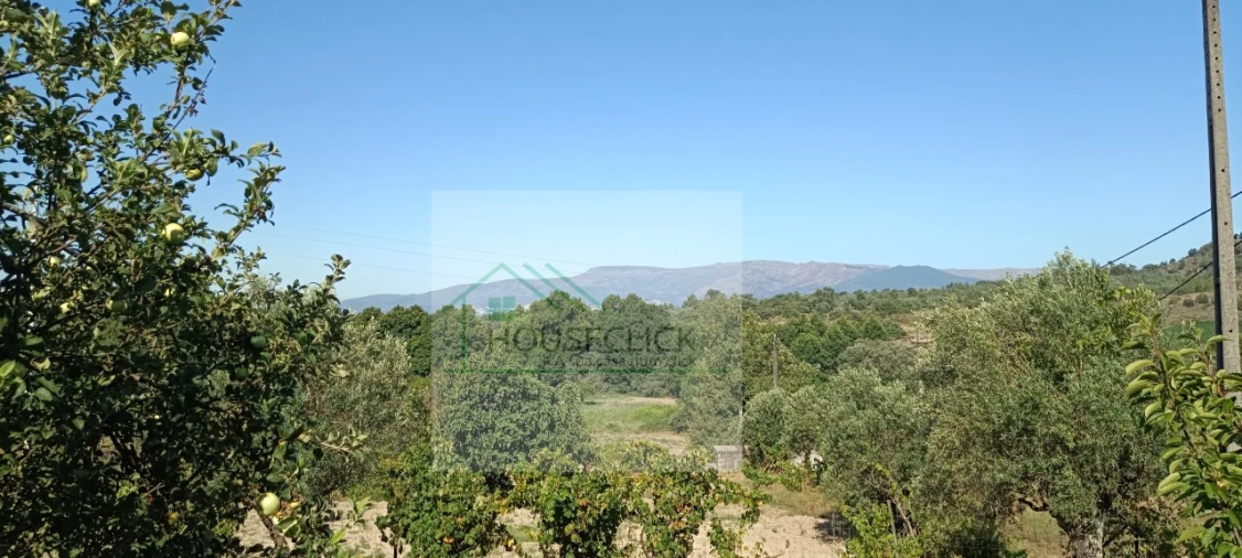 Quinta T4 para Venda em Caria Foto 70