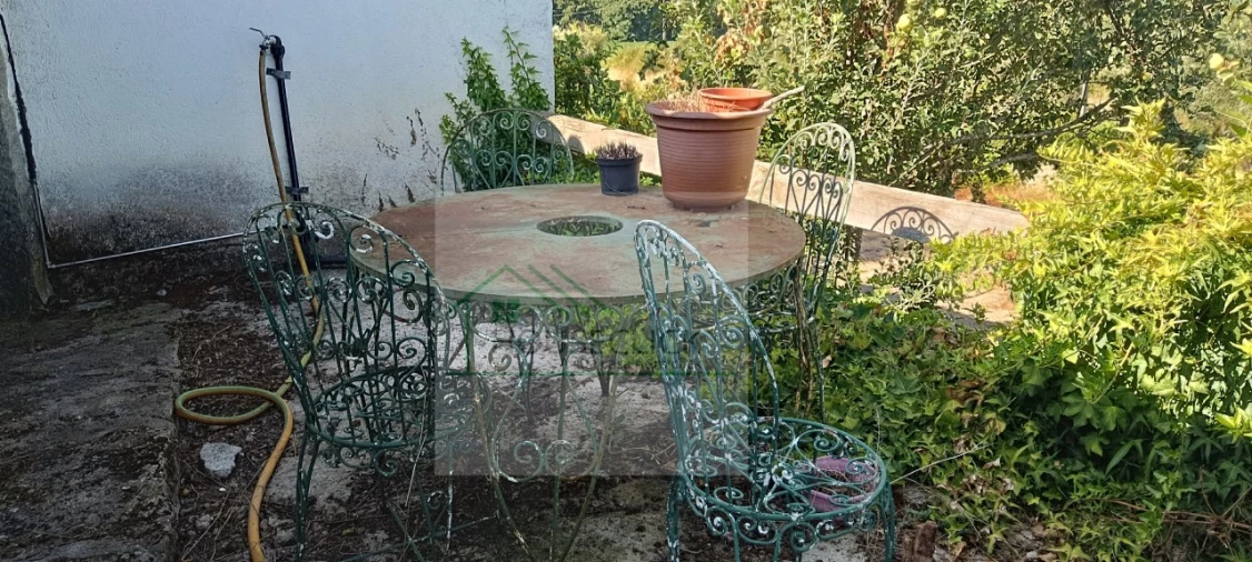 Quinta T4 para Venda em Caria Foto 71