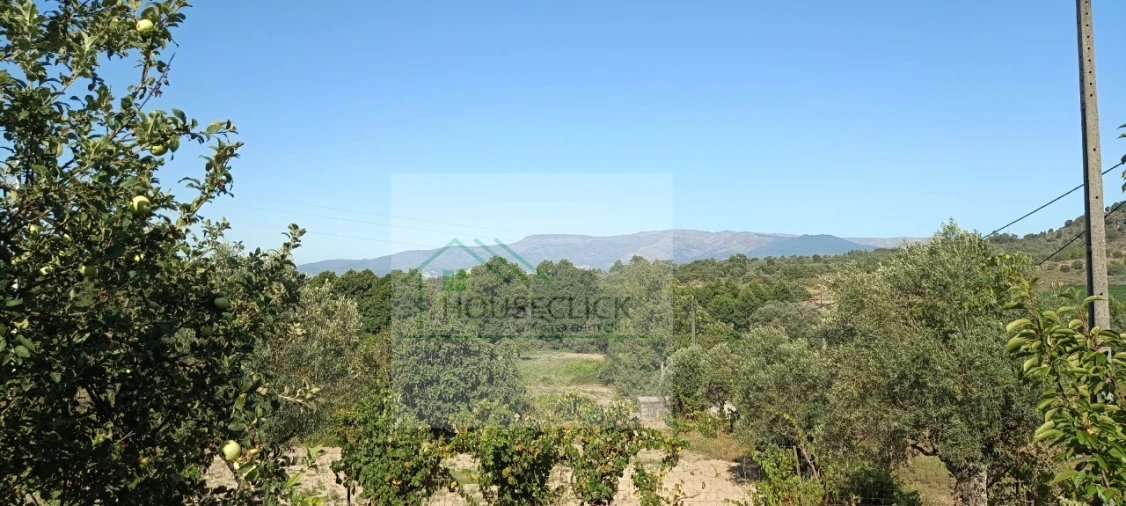 Quinta T4 para Venda em Caria Foto 73