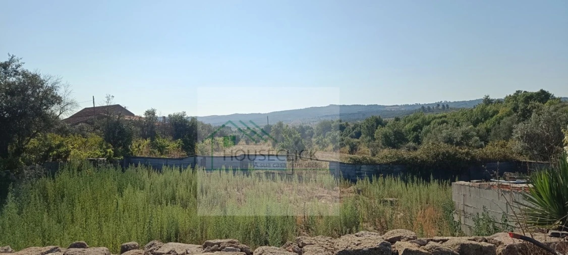 Quinta T4 para Venda em Caria Foto 74