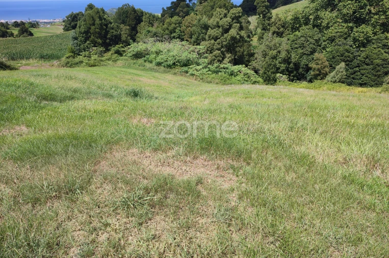 Terreno para Venda em Ribeira Grande (Matriz) Foto 4