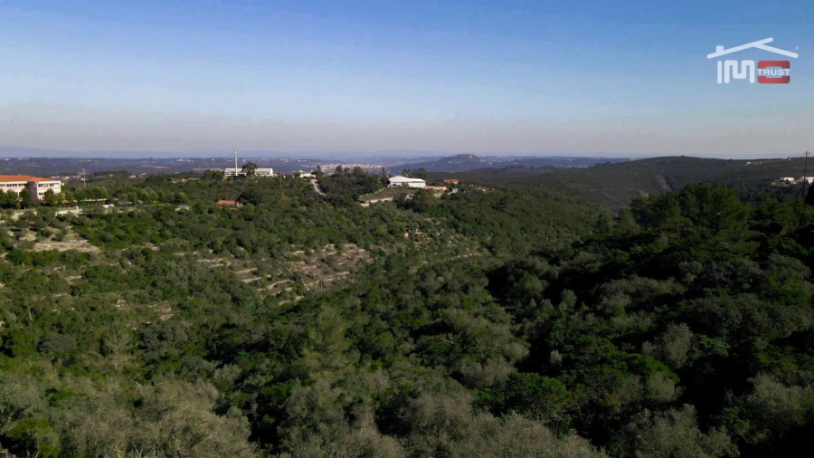 Terreno P/ Prédio para Venda em Fatima Foto 15