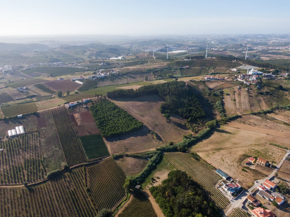 Terreno para Venda em Freiria Foto 11