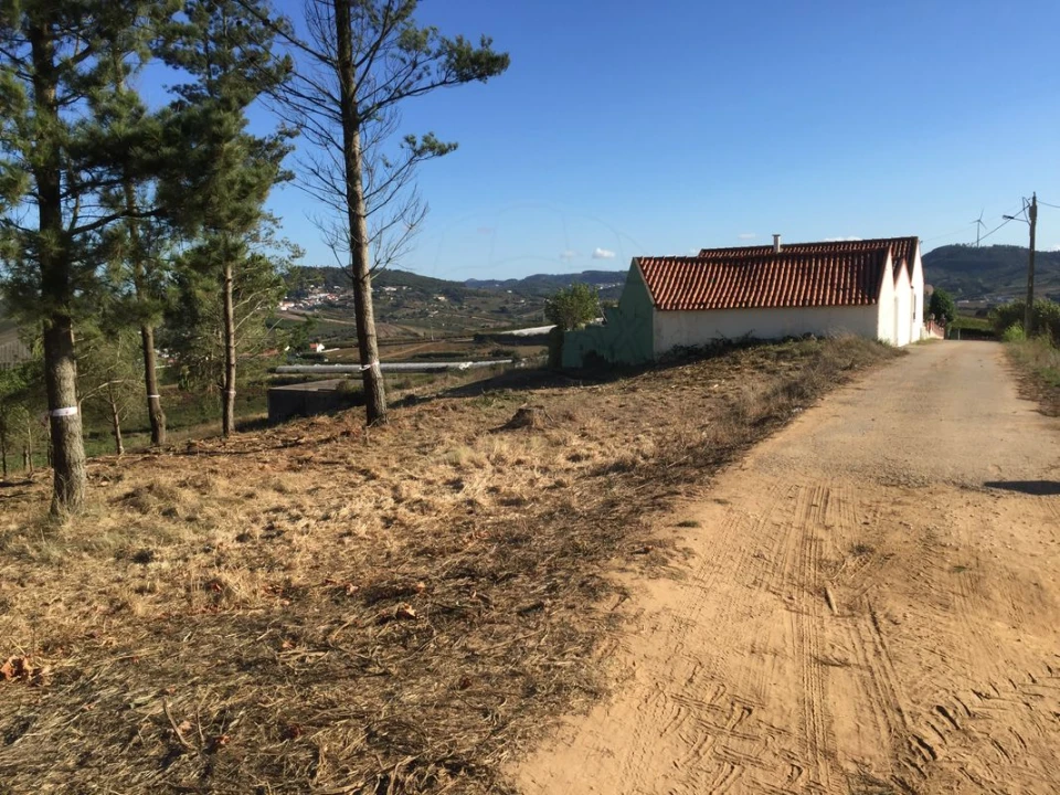 Terreno para Venda em Freiria Foto 5