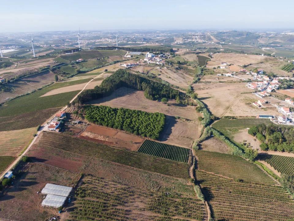 Terreno para Venda em Freiria Foto 13