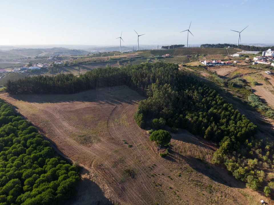 Terreno para Venda em Freiria Foto 15