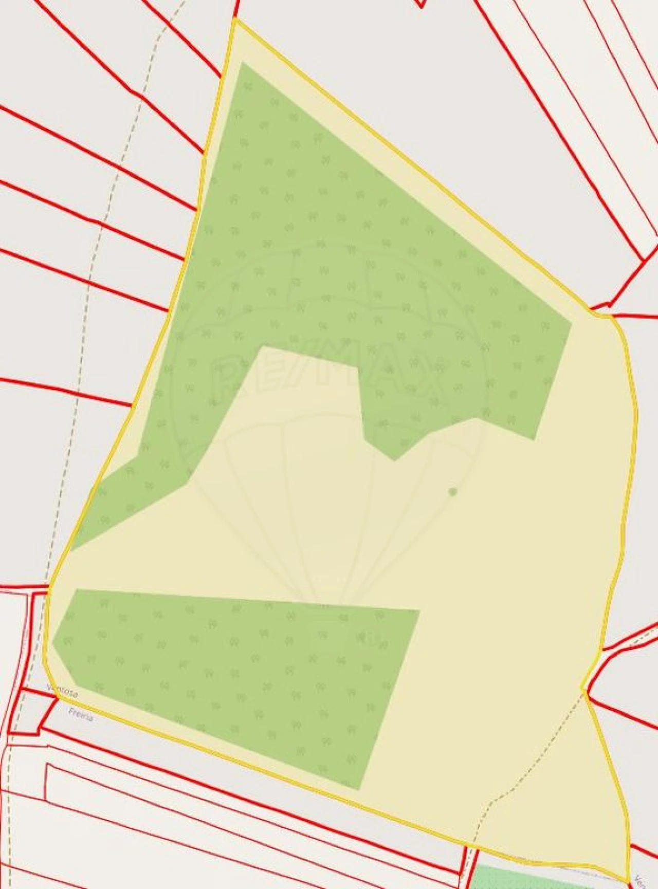 Terreno para Venda em Freiria Foto 4