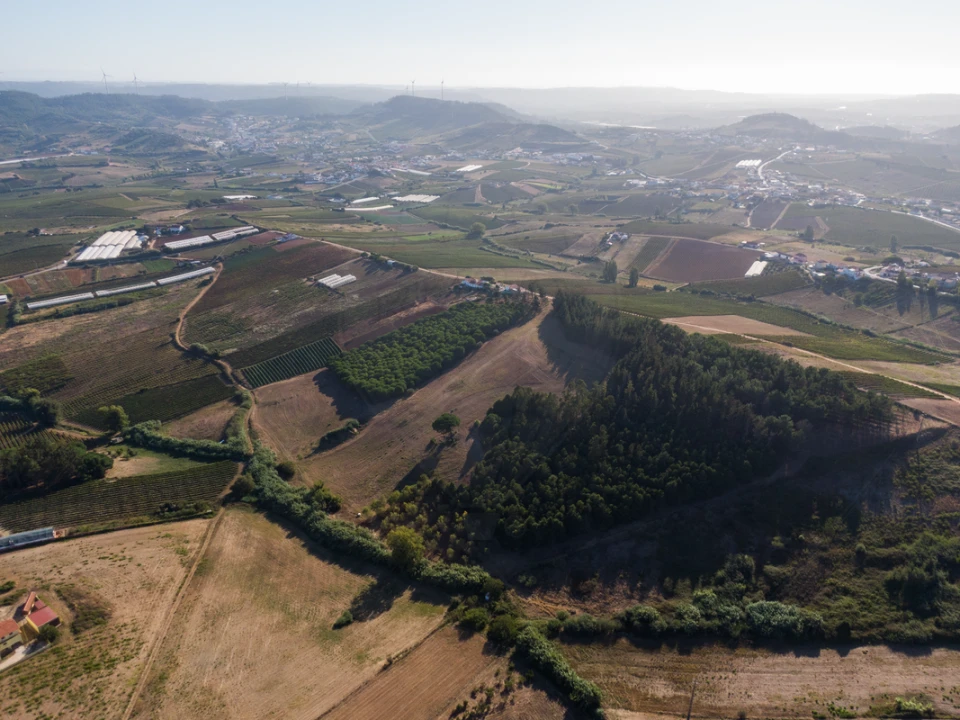 Terreno para Venda em Freiria Foto 10