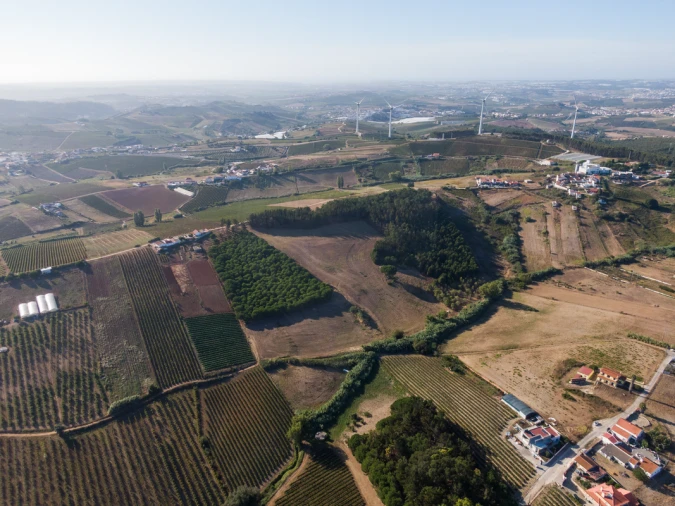Terreno para Venda em Freiria Foto 11