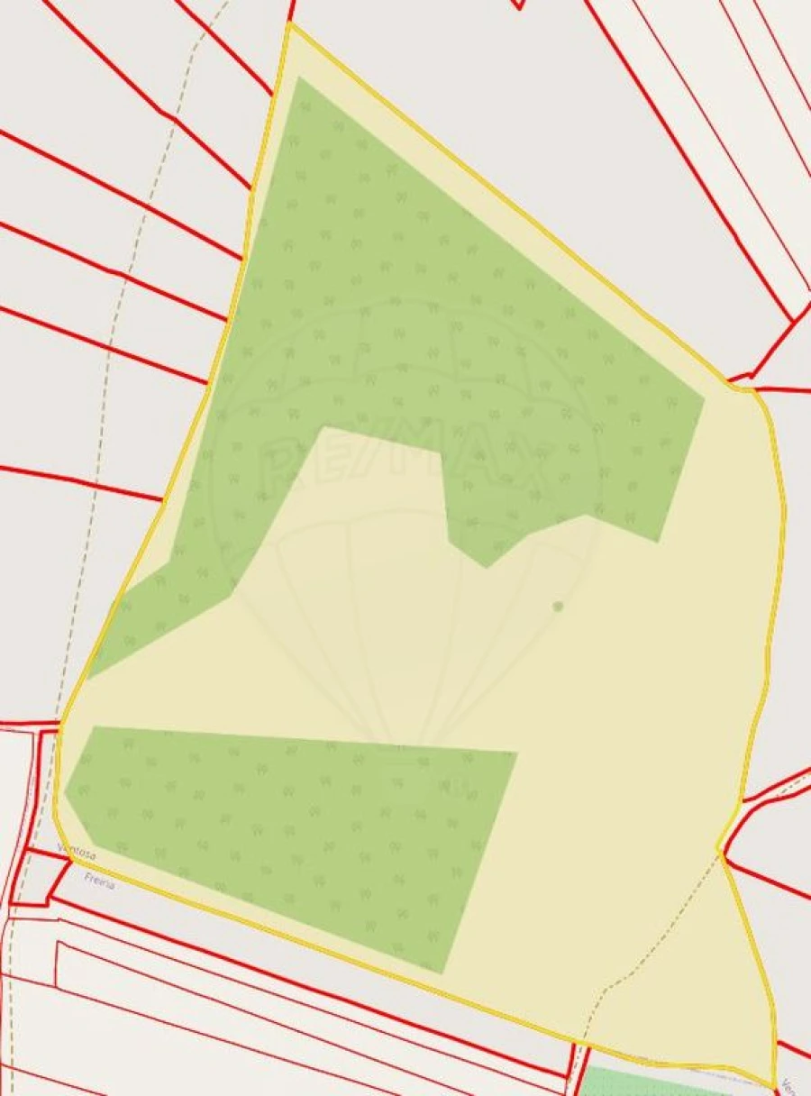 Terreno para Venda em Freiria Foto 4