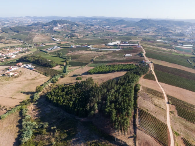 Terreno para Venda em Freiria Foto 9