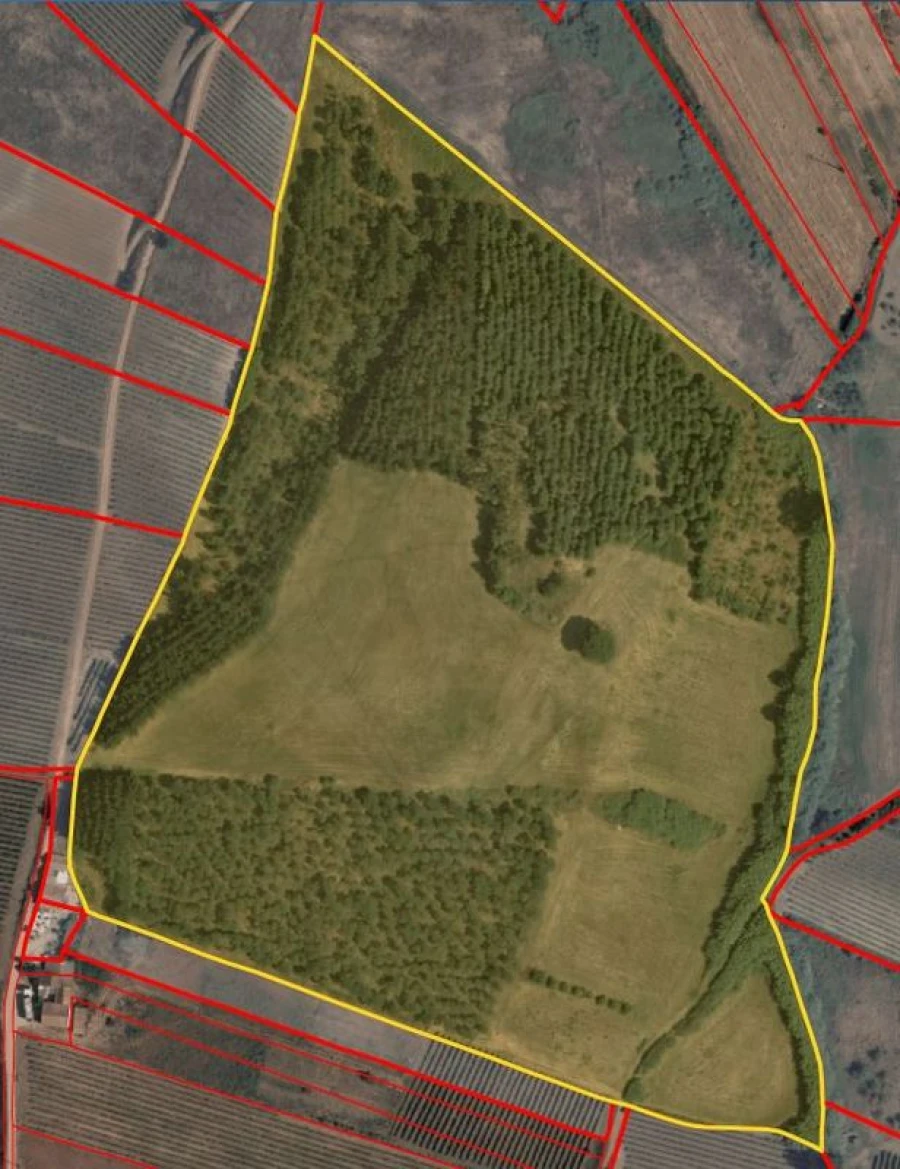 Terreno para Venda em Freiria Foto 2