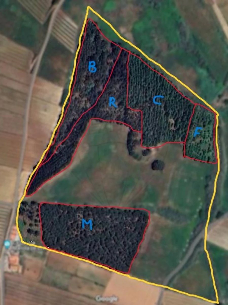 Terreno para Venda em Freiria Foto 3