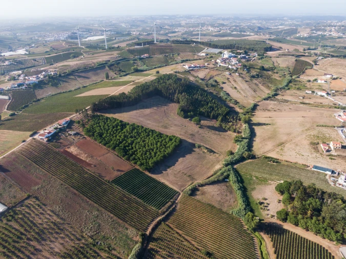 Terreno para Venda em Freiria Foto 12
