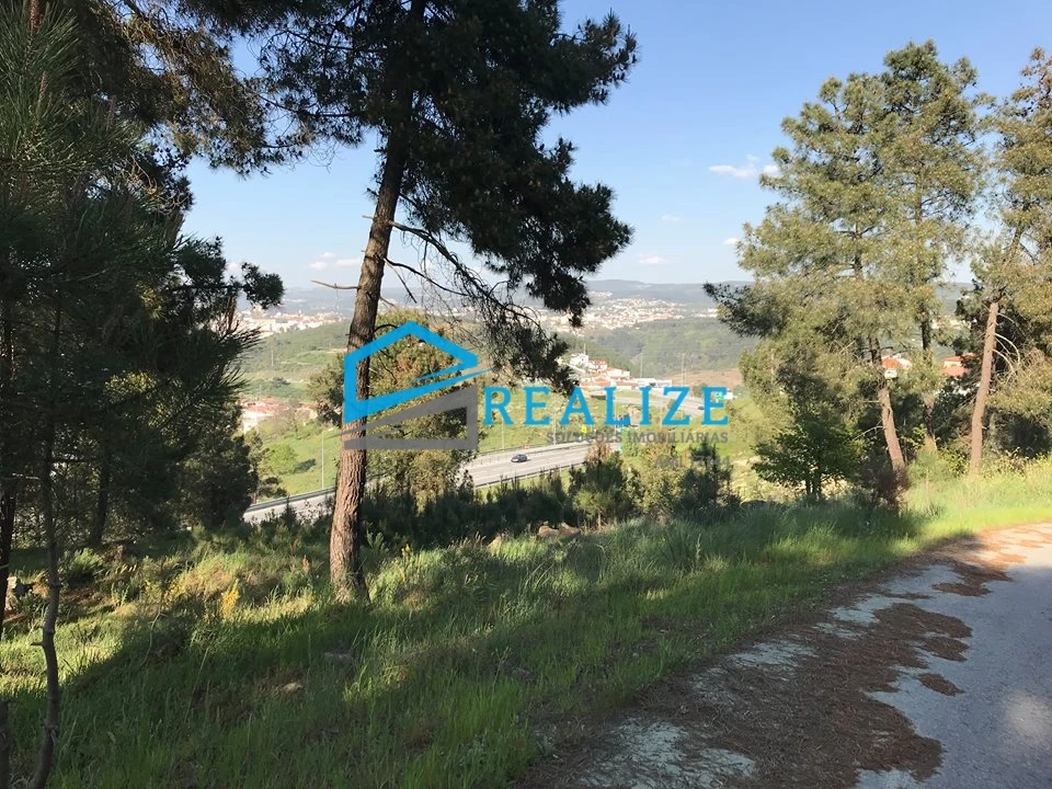 Terreno para Venda em Parada de Cunhos Foto 3