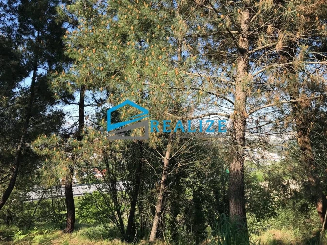 Terreno para Venda em Parada de Cunhos Foto 4