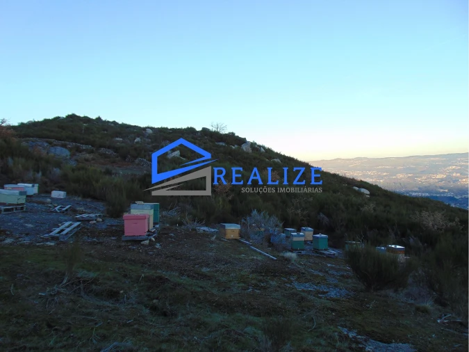 Terreno Agricola ou Rústico para Venda em Pena, Quintã e Vila Cova Foto 16