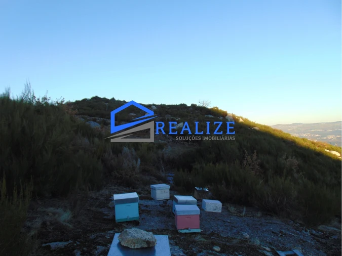 Terreno Agricola ou Rústico para Venda em Pena, Quintã e Vila Cova Foto 4