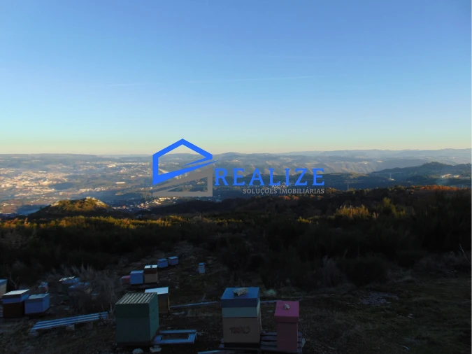 Terreno Agricola ou Rústico para Venda em Pena, Quintã e Vila Cova Foto 7