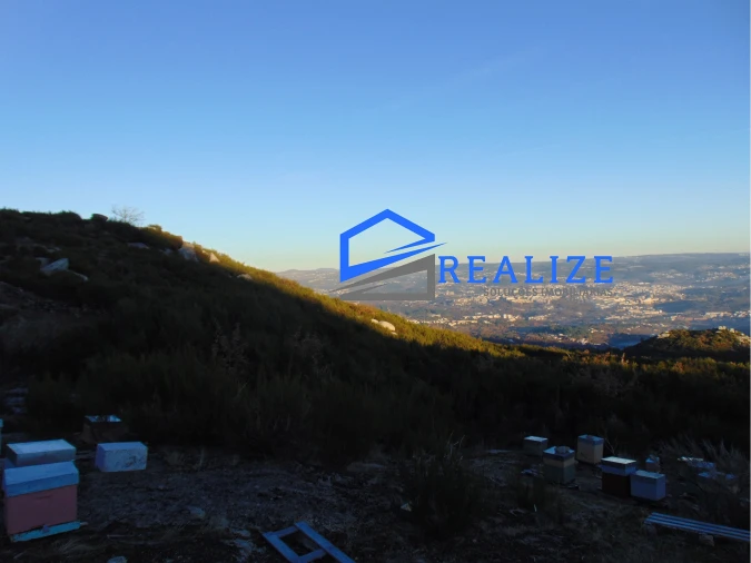 Terreno Agricola ou Rústico para Venda em Pena, Quintã e Vila Cova Foto 5