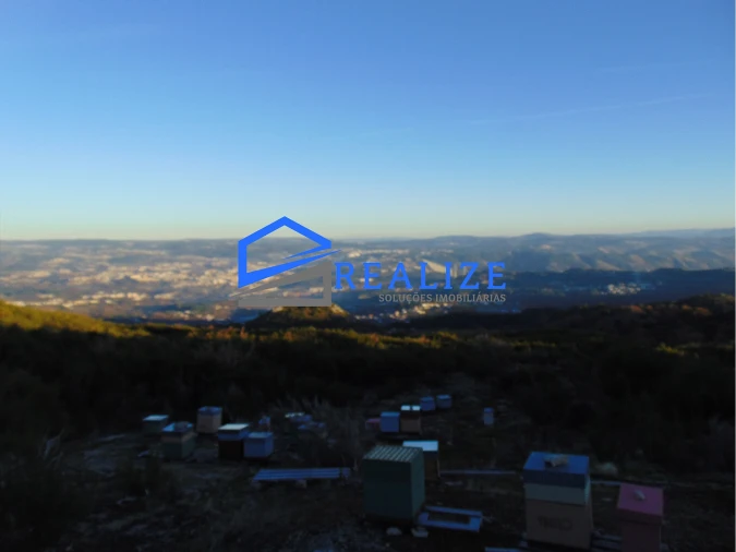 Terreno Agricola ou Rústico para Venda em Pena, Quintã e Vila Cova Foto 6