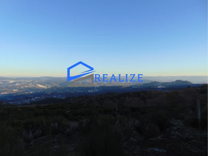 Terreno Agricola ou Rústico para Venda em Pena, Quintã e Vila Cova Foto 14