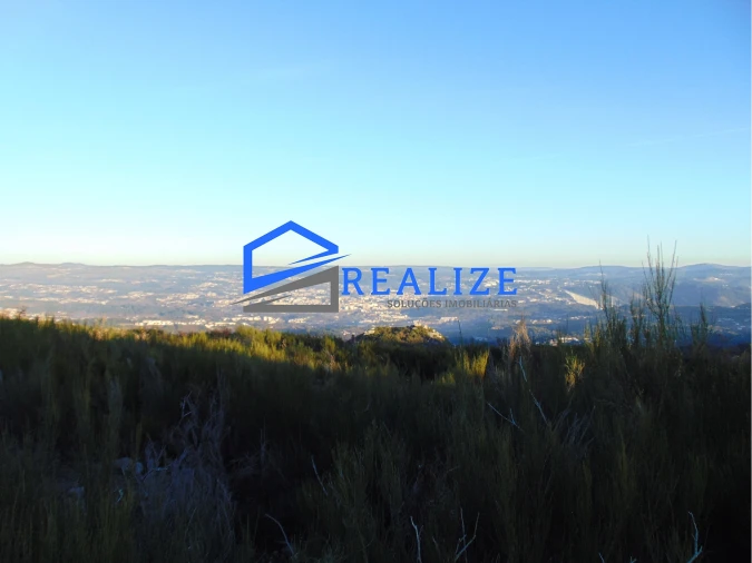 Terreno Agricola ou Rústico para Venda em Pena, Quintã e Vila Cova Foto 9