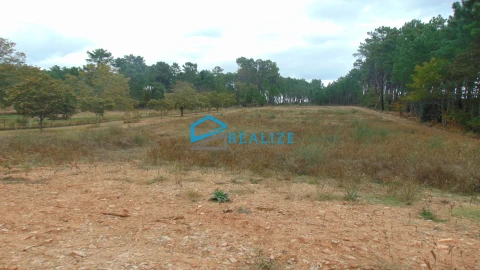 Terreno para Venda em Constantim e Vale de Nogueiras