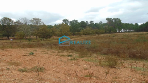 Terreno para Venda em Constantim e Vale de Nogueiras