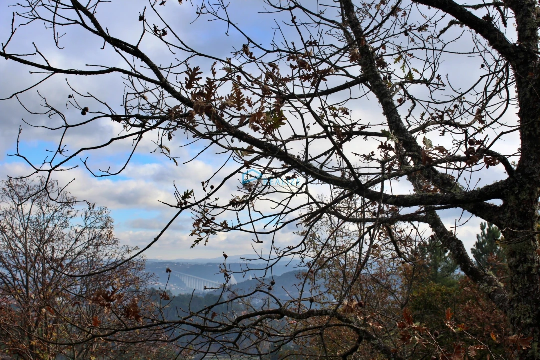 Terreno para Venda em Mondrões Foto 8