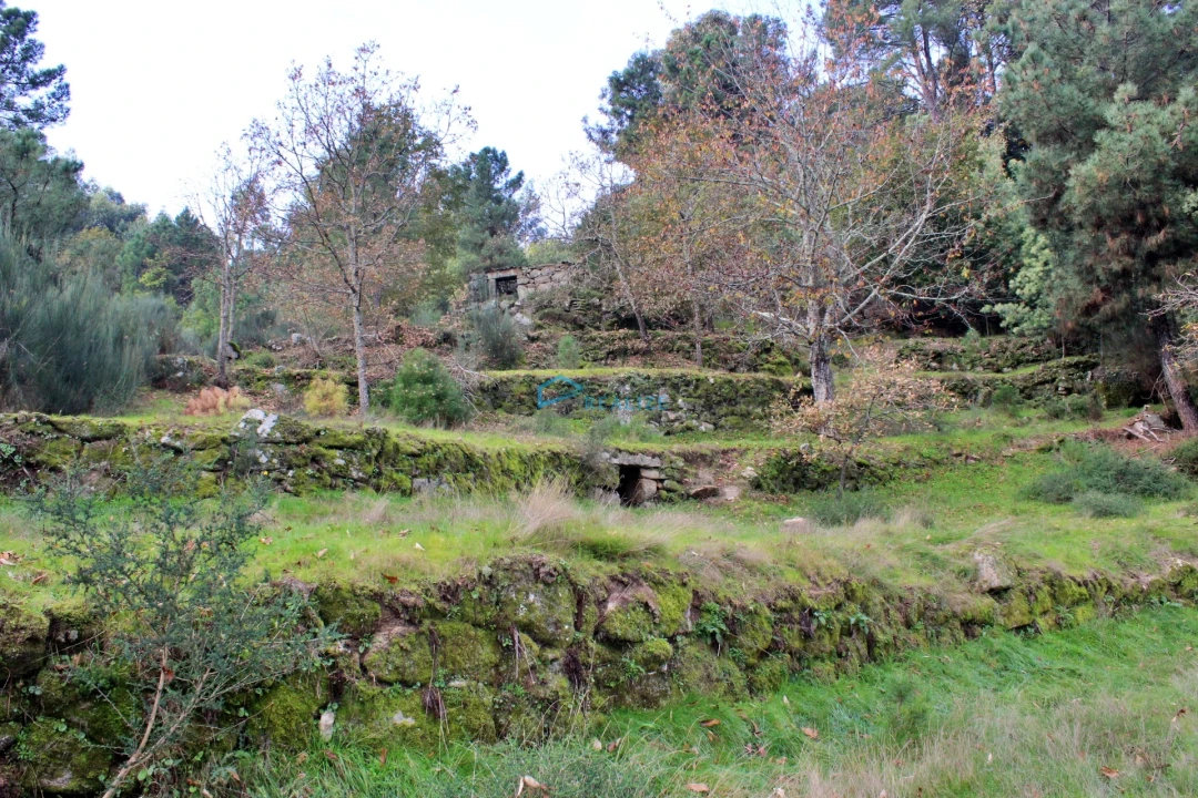 Terreno para Venda em Mondrões Foto 5