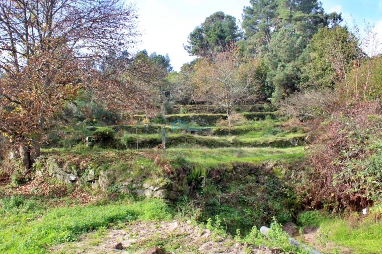 Terreno para Venda em Mondrões