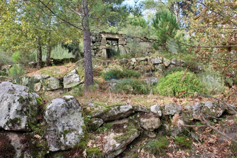Terreno para Venda em Mondrões Foto 4
