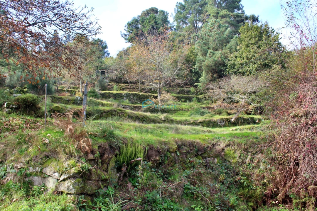 Terreno para Venda em Mondrões Foto 2