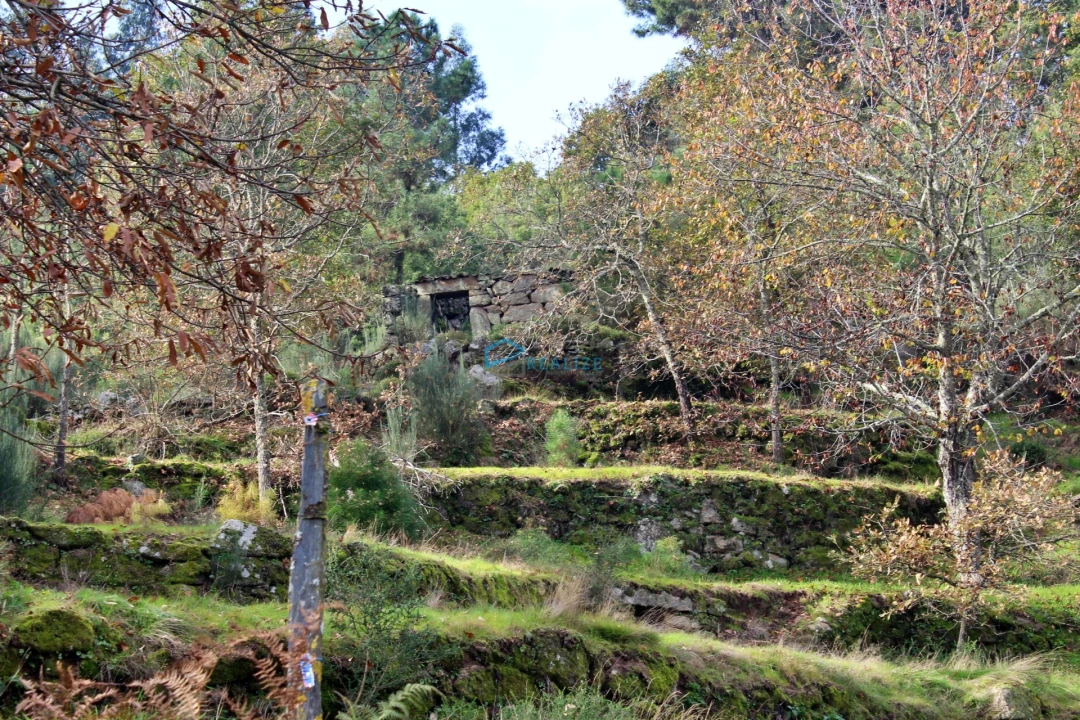 Terreno para Venda em Mondrões Foto 3
