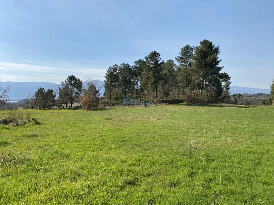 Terreno Agricola ou Rústico para Venda em Mouçós e Lamares Foto 3