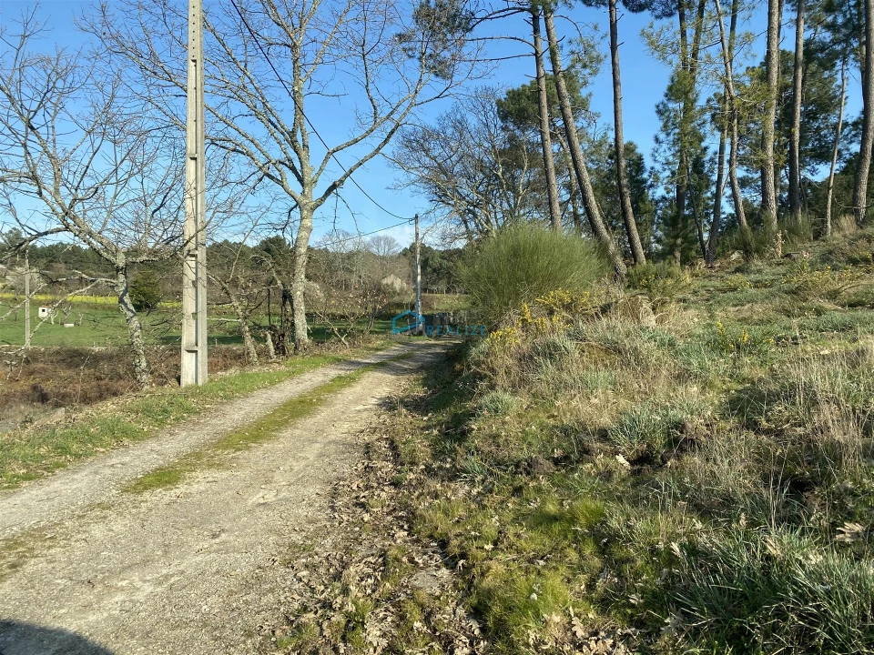 Terreno Agricola ou Rústico para Venda em Mouçós e Lamares Foto 17
