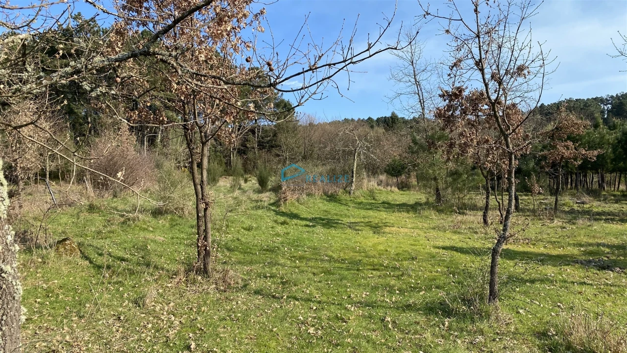 Terreno Agricola ou Rústico para Venda em Mouçós e Lamares Foto 10