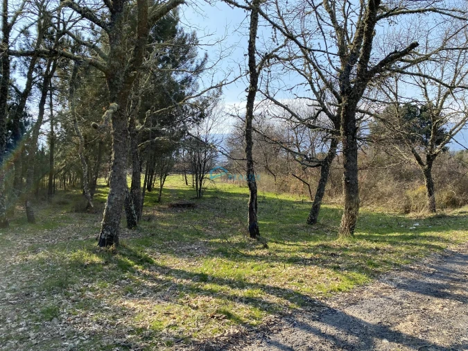 Terreno Agricola ou Rústico para Venda em Mouçós e Lamares Foto 14