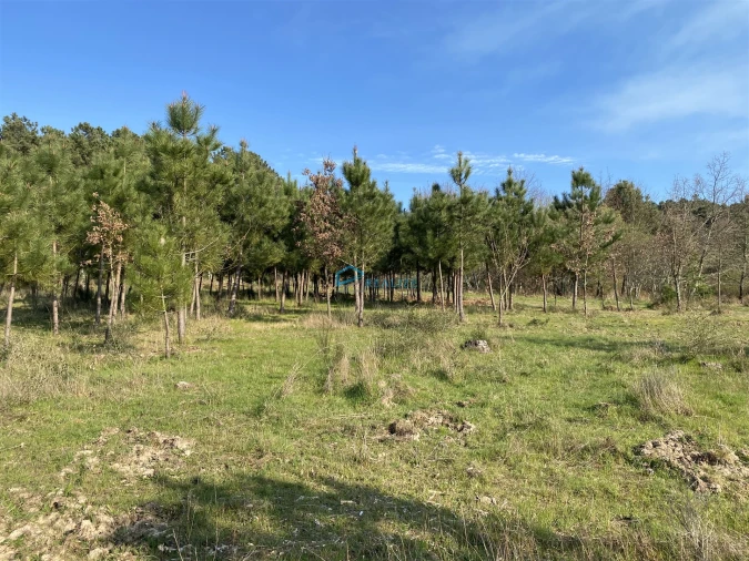 Terreno Agricola ou Rústico para Venda em Mouçós e Lamares Foto 8