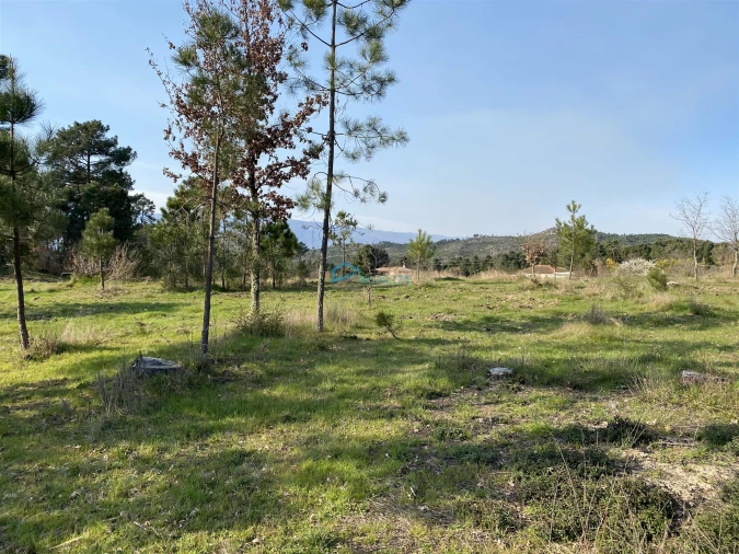 Terreno Agricola ou Rústico para Venda em Mouçós e Lamares Foto 7