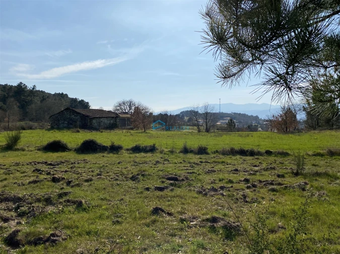 Terreno Agricola ou Rústico para Venda em Mouçós e Lamares Foto 6