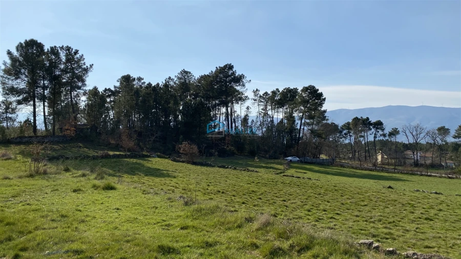 Terreno Agricola ou Rústico para Venda em Mouçós e Lamares Foto 11