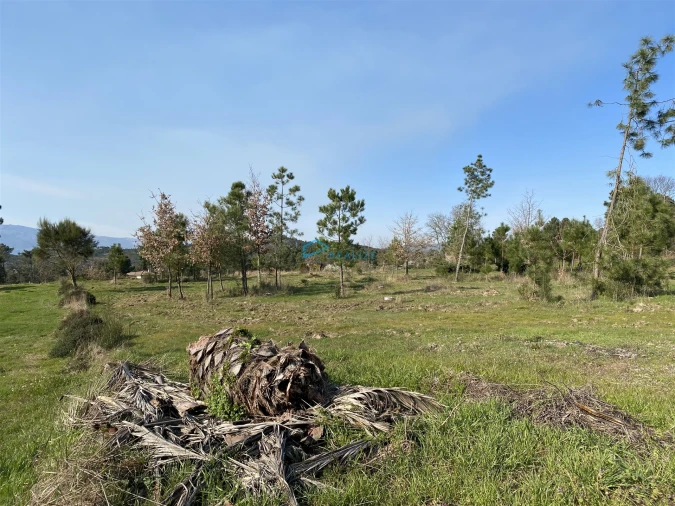 Terreno Agricola ou Rústico para Venda em Mouçós e Lamares Foto 5