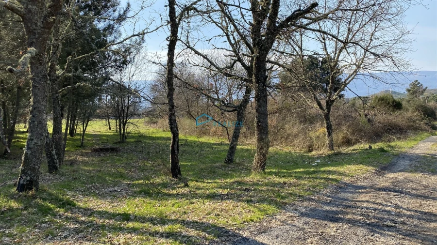 Terreno Agricola ou Rústico para Venda em Mouçós e Lamares Foto 13