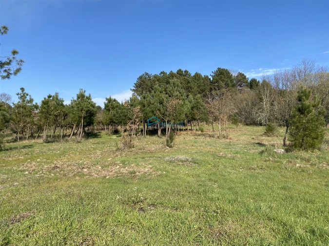 Terreno Agricola ou Rústico para Venda em Mouçós e Lamares Foto 4