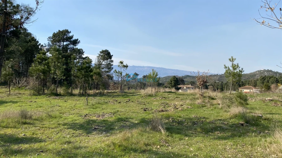 Terreno Agricola ou Rústico para Venda em Mouçós e Lamares Foto 9