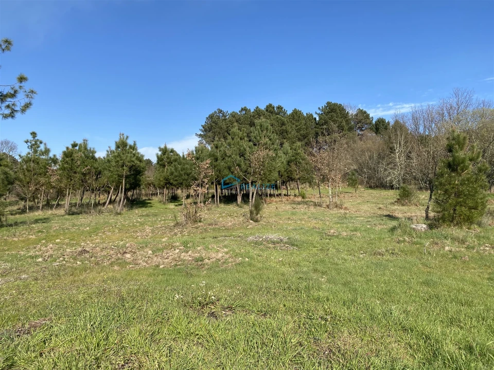 Terreno Agricola ou Rústico para Venda em Mouçós e Lamares Foto 4