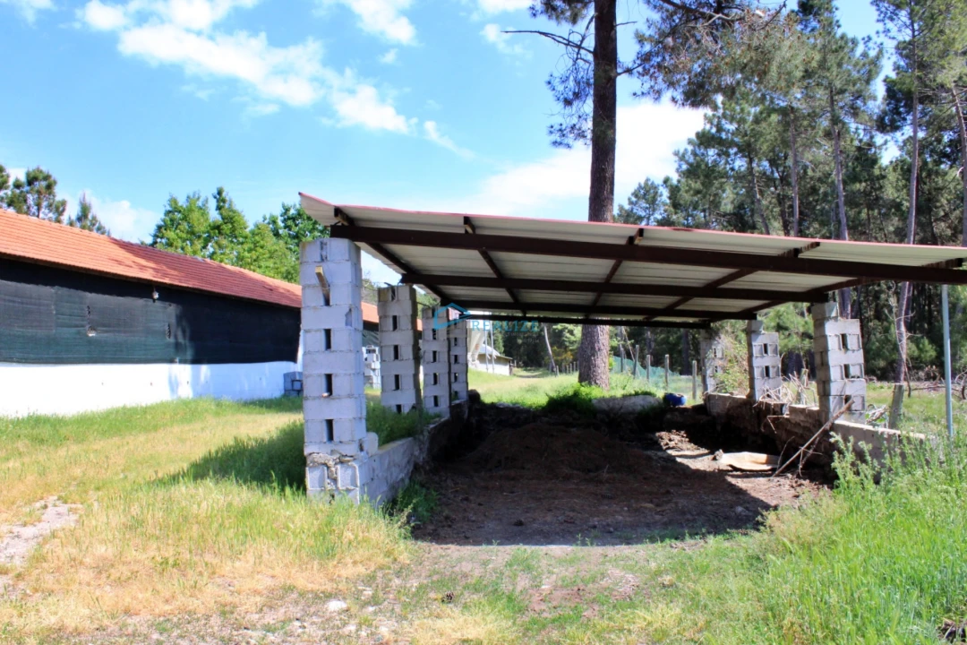 Terreno para Venda em Torre do Pinhão Foto 2